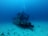 A sunken shipwreck lies on the ocean floor surrounded by clear blue water. The ship is covered in marine life and coral, with a variety of fish swimming around it. Light filters from above, casting a serene atmosphere over the scene.