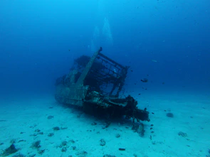 High-resolution underwater shot of a sunken shipwreck with marine life surrounding it