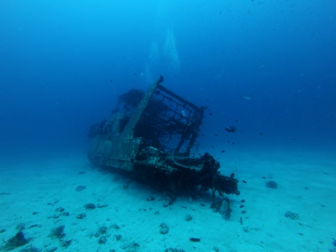 A sunken shipwreck lies on the ocean floor surrounded by clear blue water. The ship is covered in marine life and coral, with a variety of fish swimming around it. Light filters from above, casting a serene atmosphere over the scene.