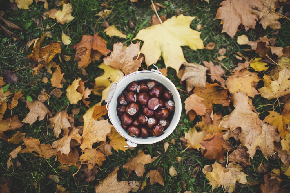 bol de fruits sur herbe avec des feuilles brunes tombées