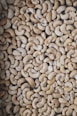 cashew nuts