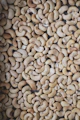 Cashew nuts