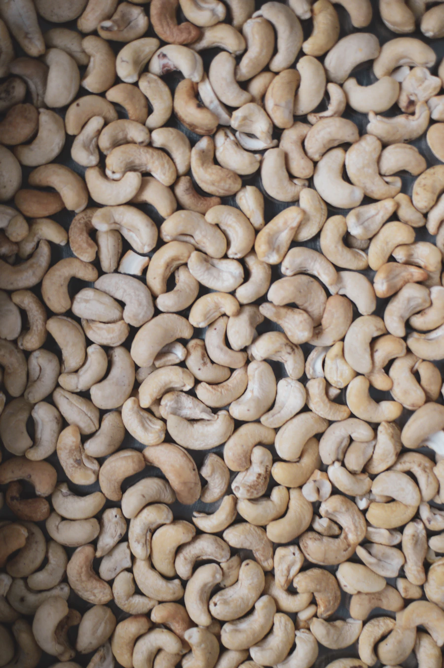 Premium cashew dry fruits