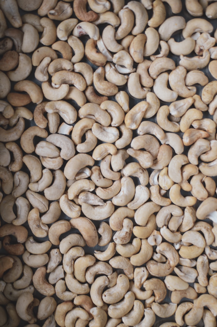 Jai Shree Dryfruits sourcing