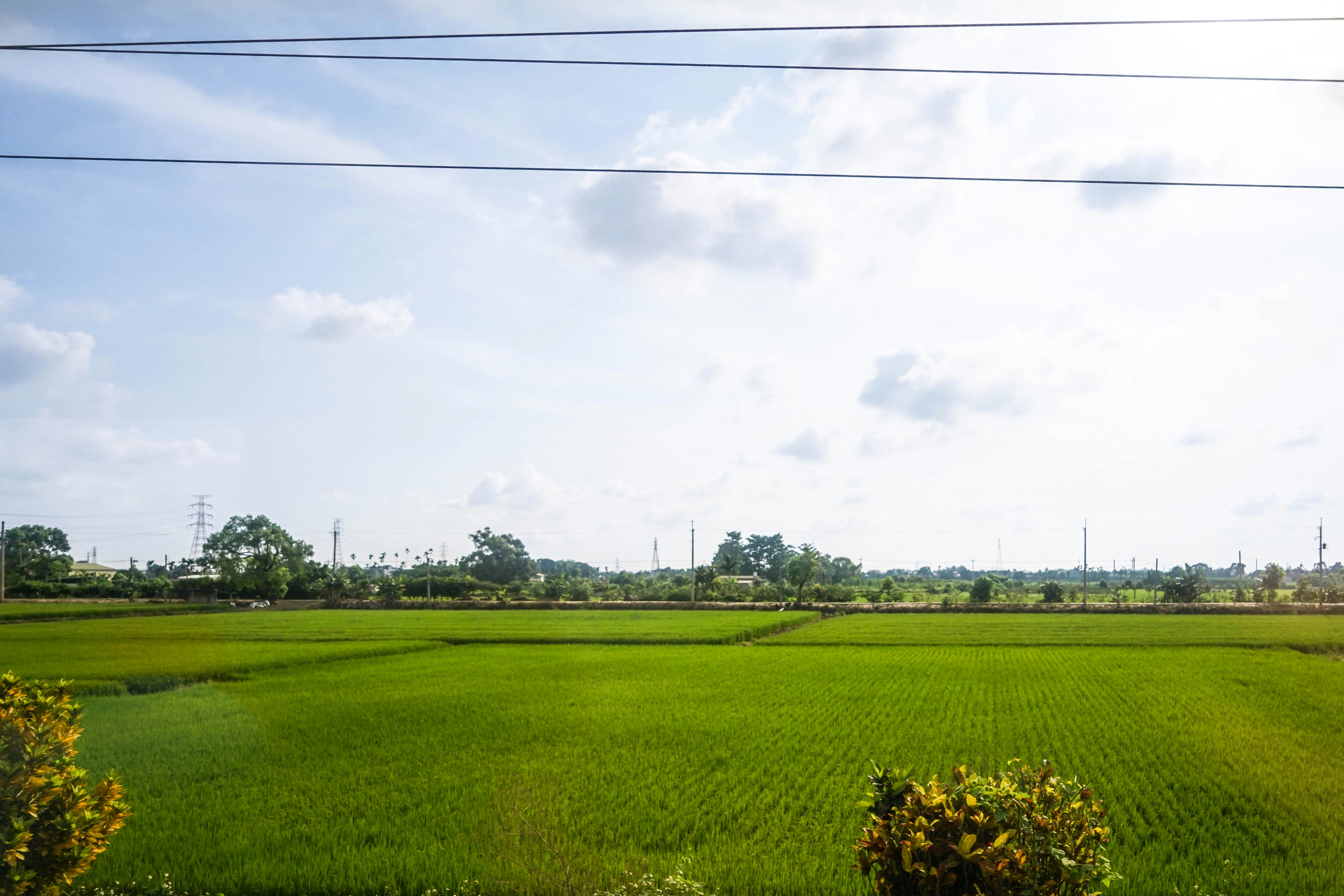 Photo by maggie__1105