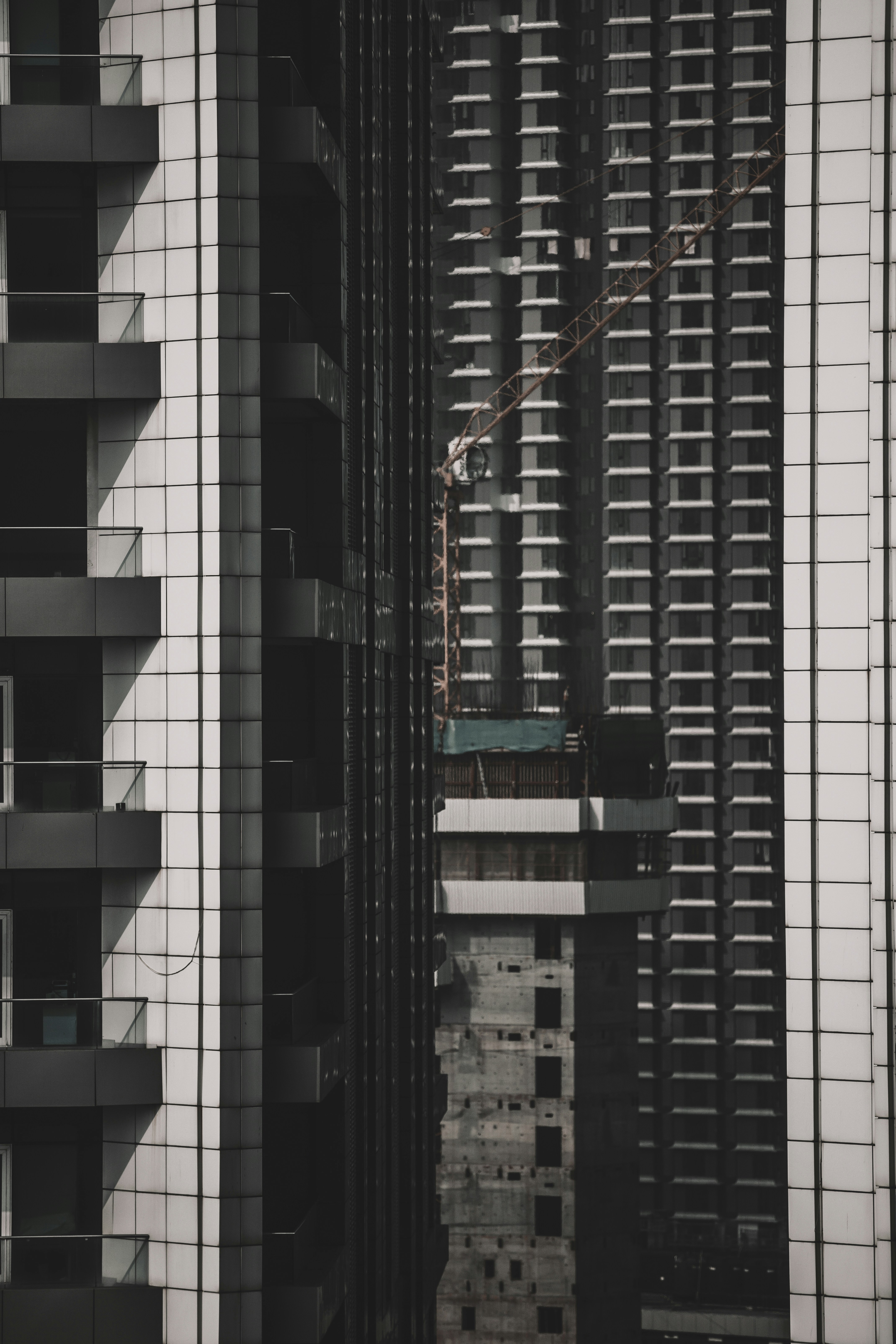 Photo by vishaldavde09