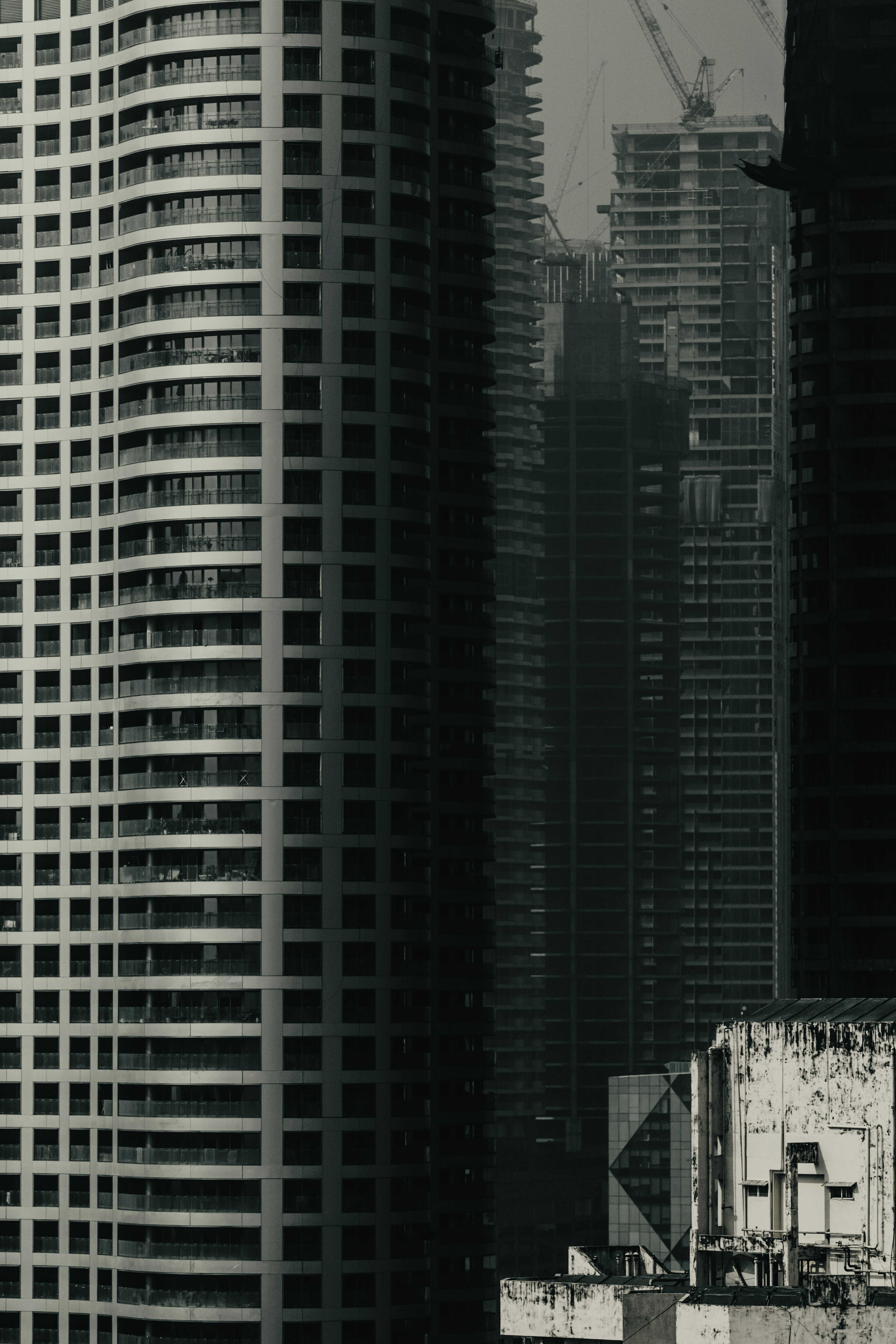 Photo by vishaldavde09