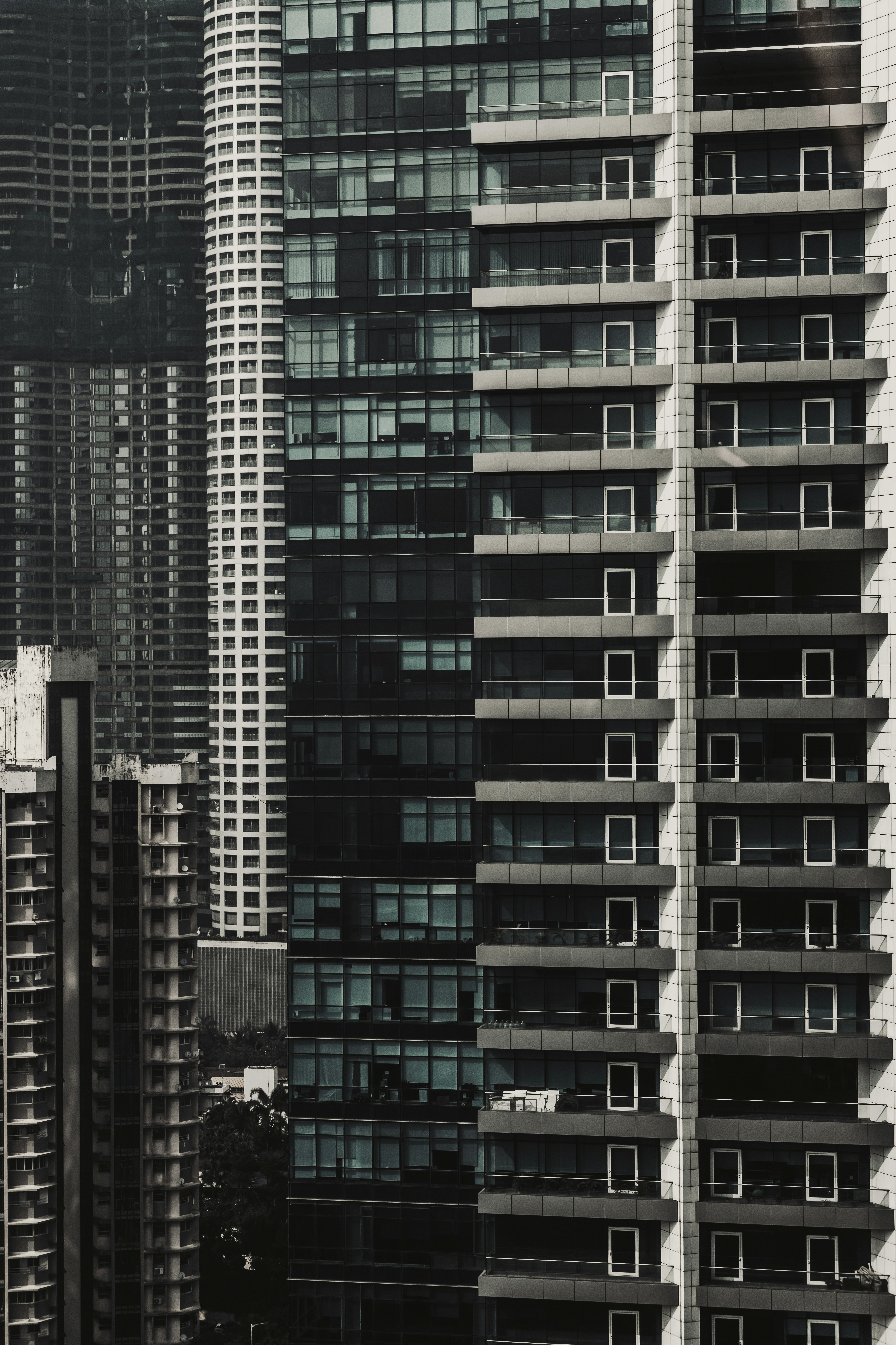 Photo by vishaldavde09