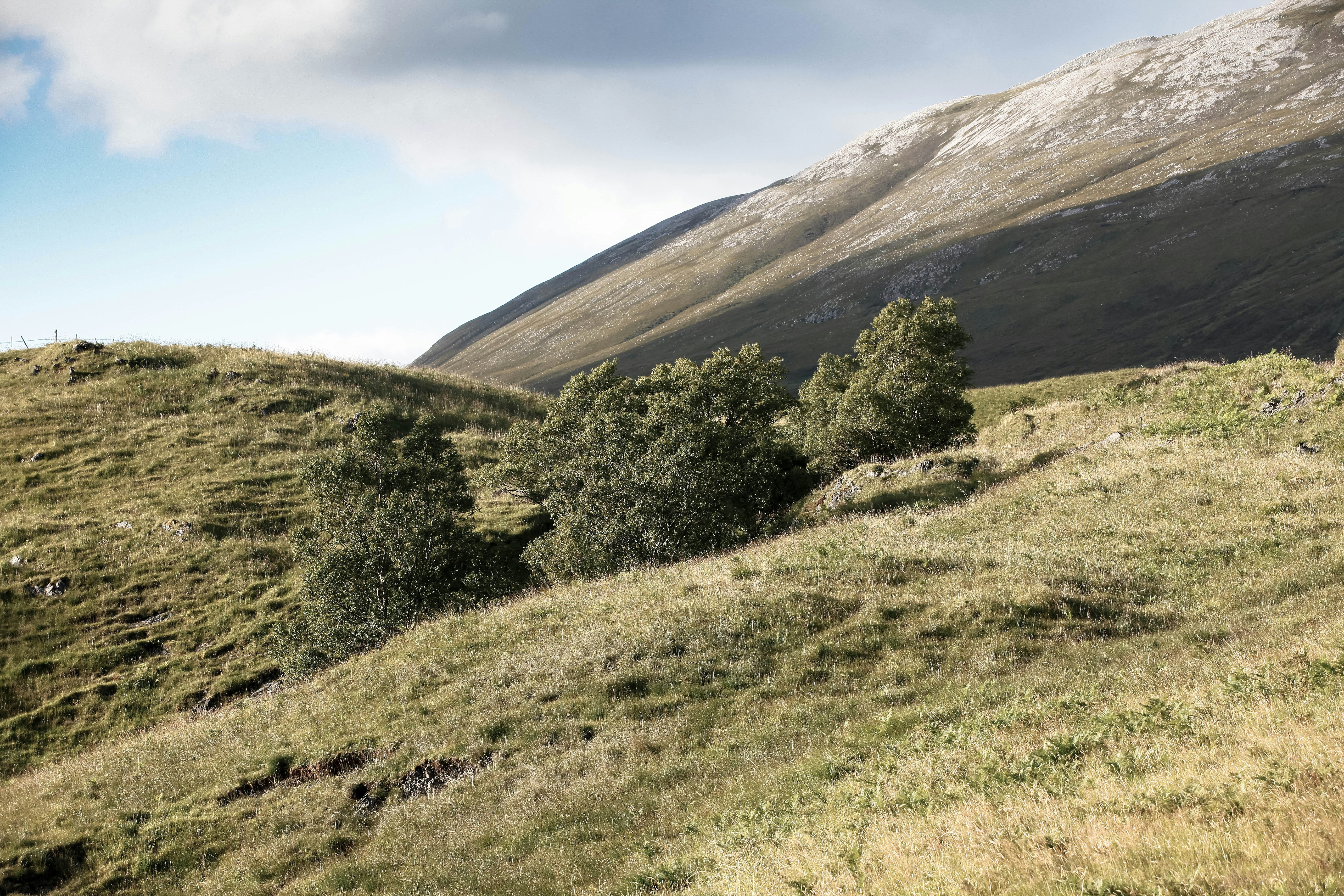 Photo by peter_cordes