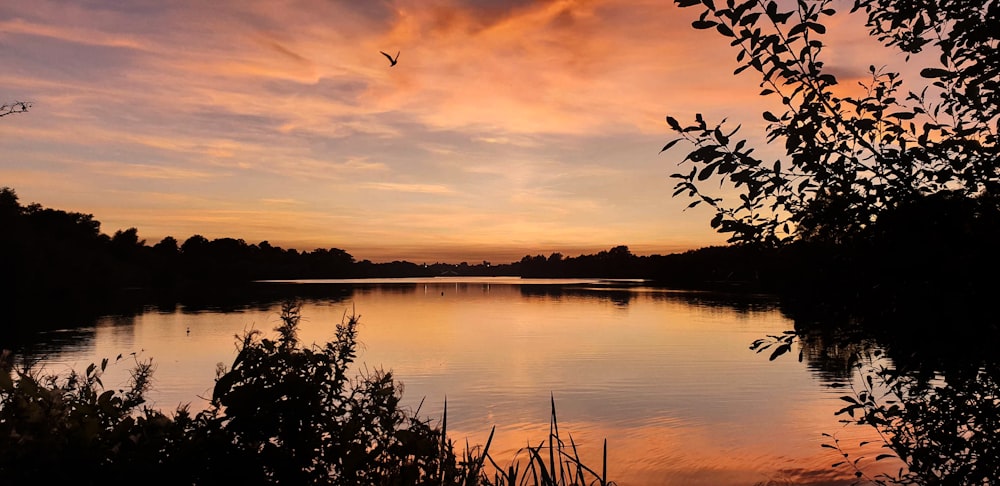 body of water surrounded with green trees under orange sky