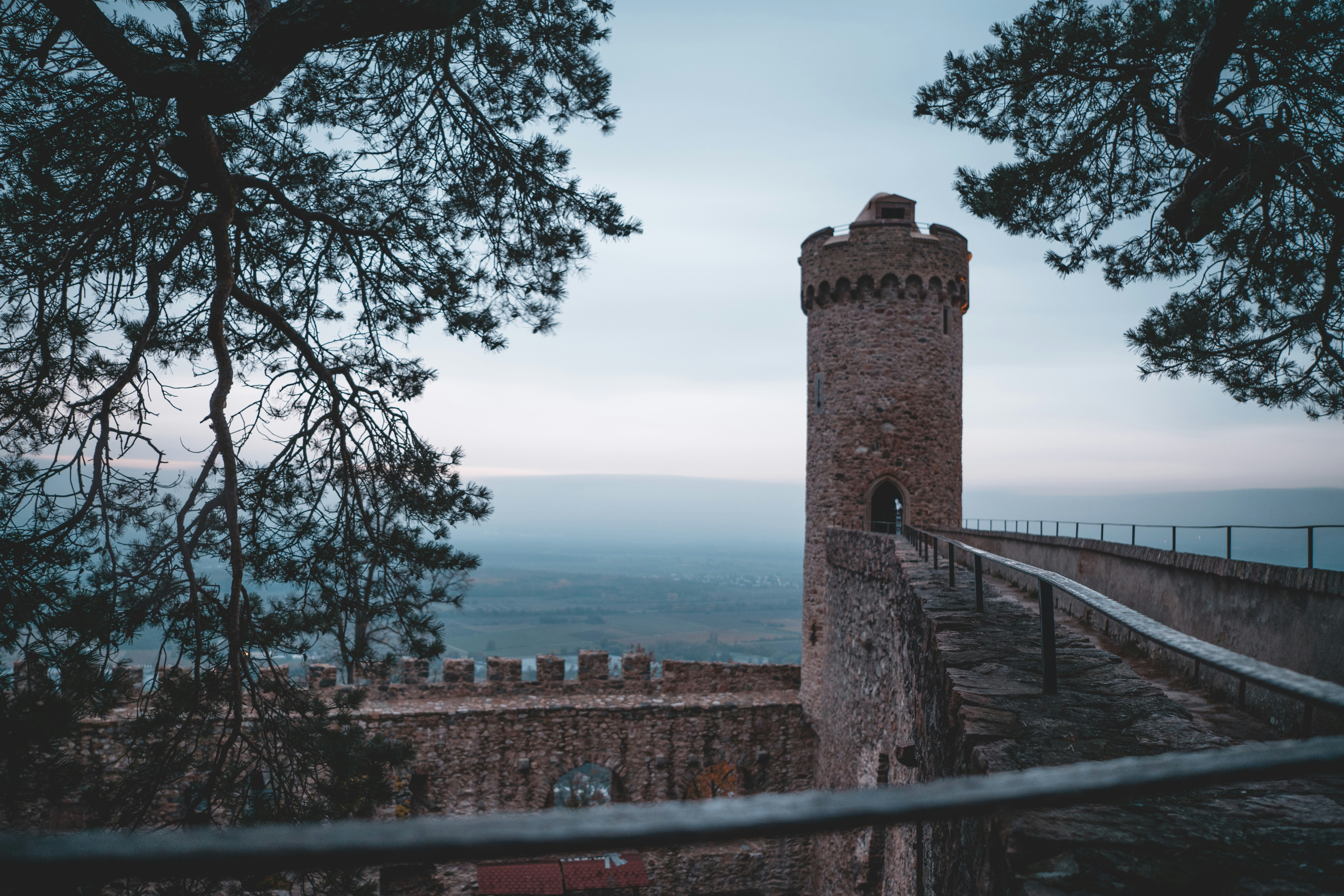 Photo by mirkosphoto