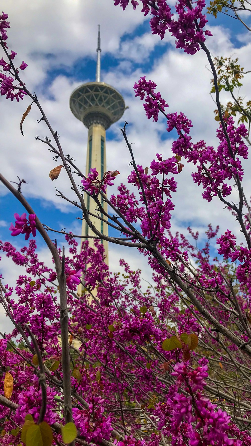 Weißer Turm tagsüber