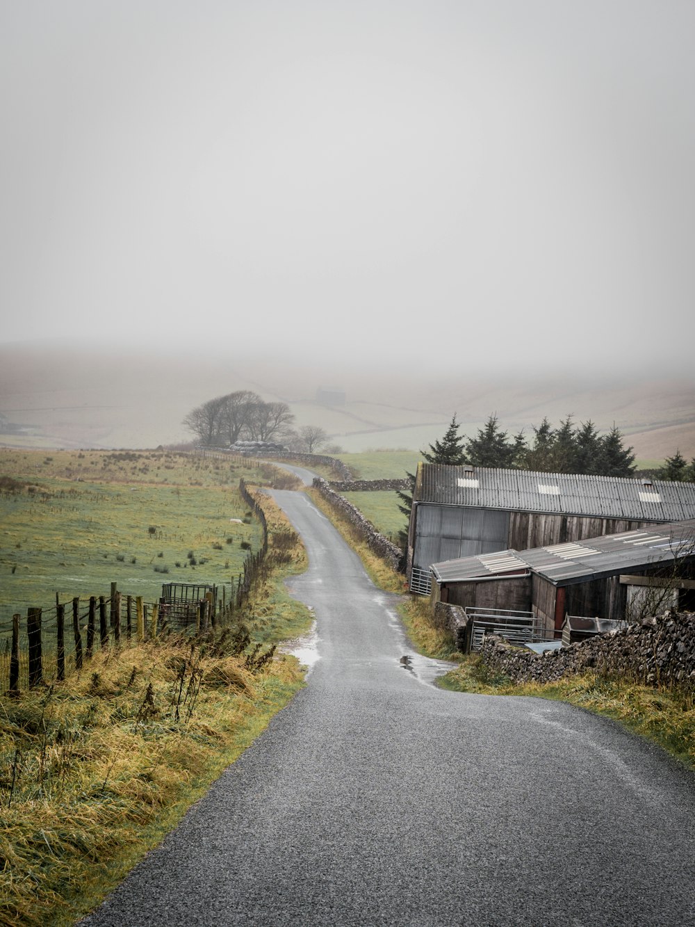 road between houses and green fields during daytie