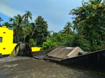 A vibrant rural scene depicting a rooftop and a strikingly yellow house amid a lush green landscape. Palm trees and dense vegetation create a picturesque backdrop. The foreground shows a slanted roof structure and a wall with peeling paint, adding an element of rustic charm.