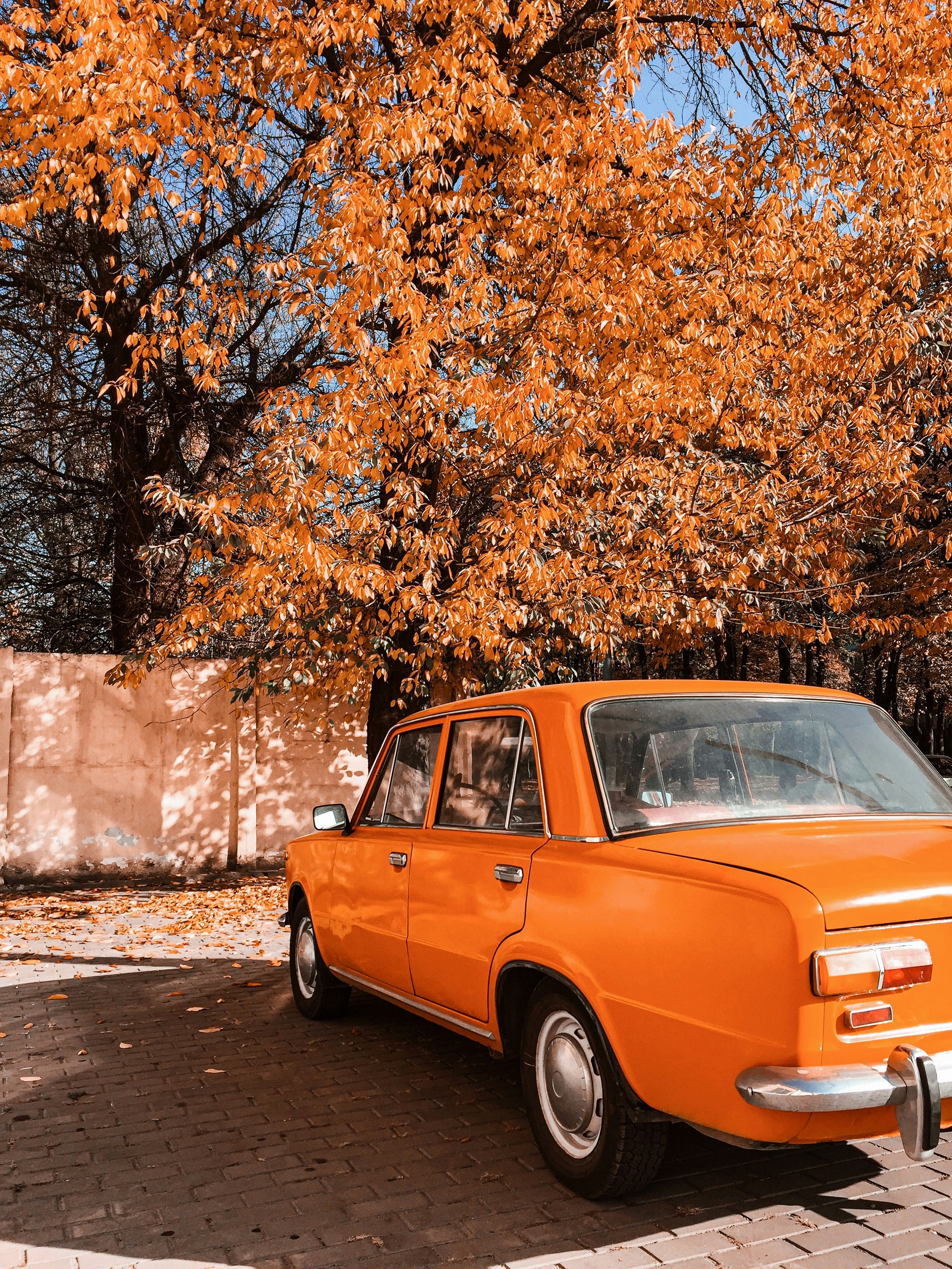 Photo by d_savitskyi