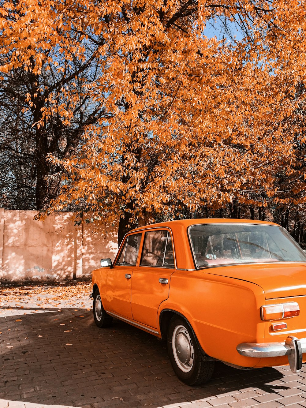 orange sedan parked under tree