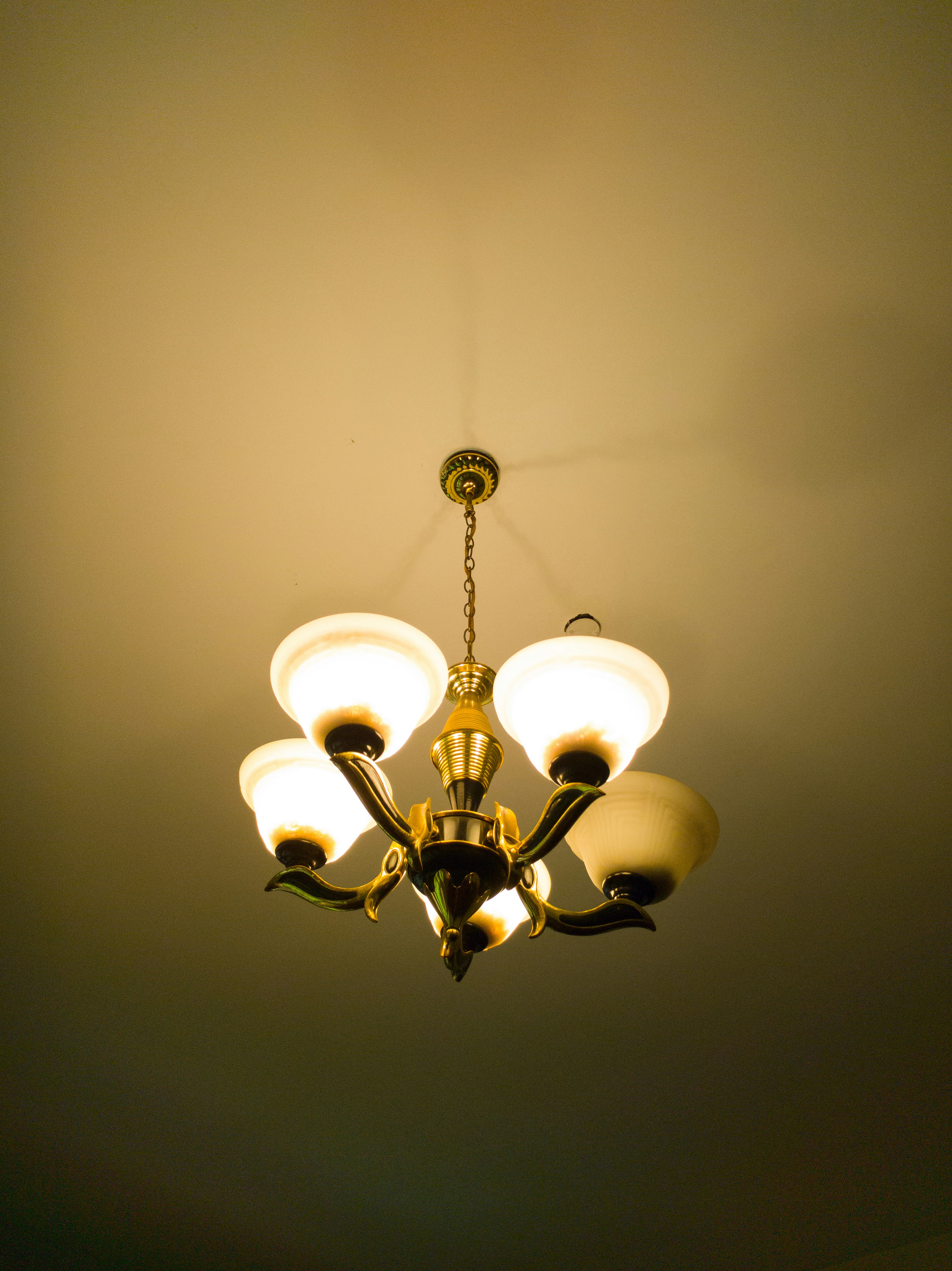 Goldcolored chandelier photo Free Kenya Image on Unsplash