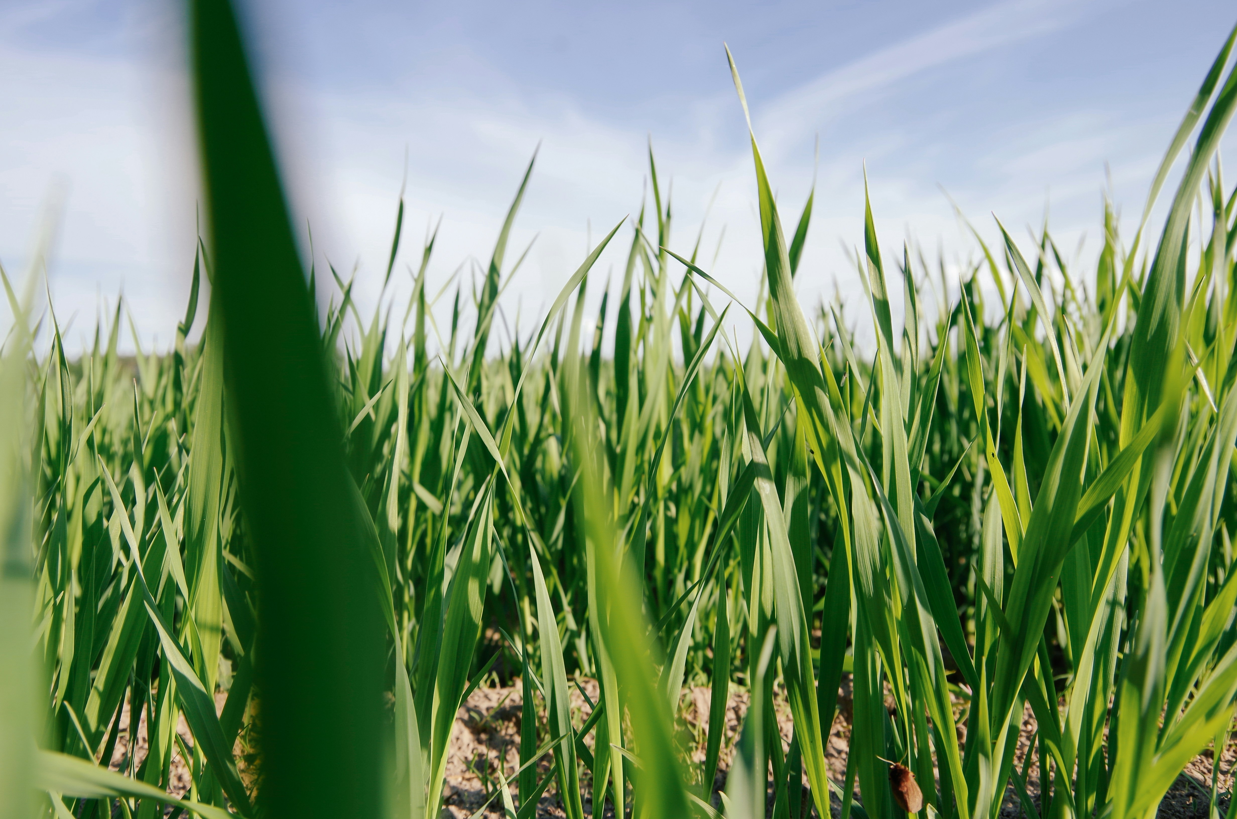 Photo by tatiannavoiset