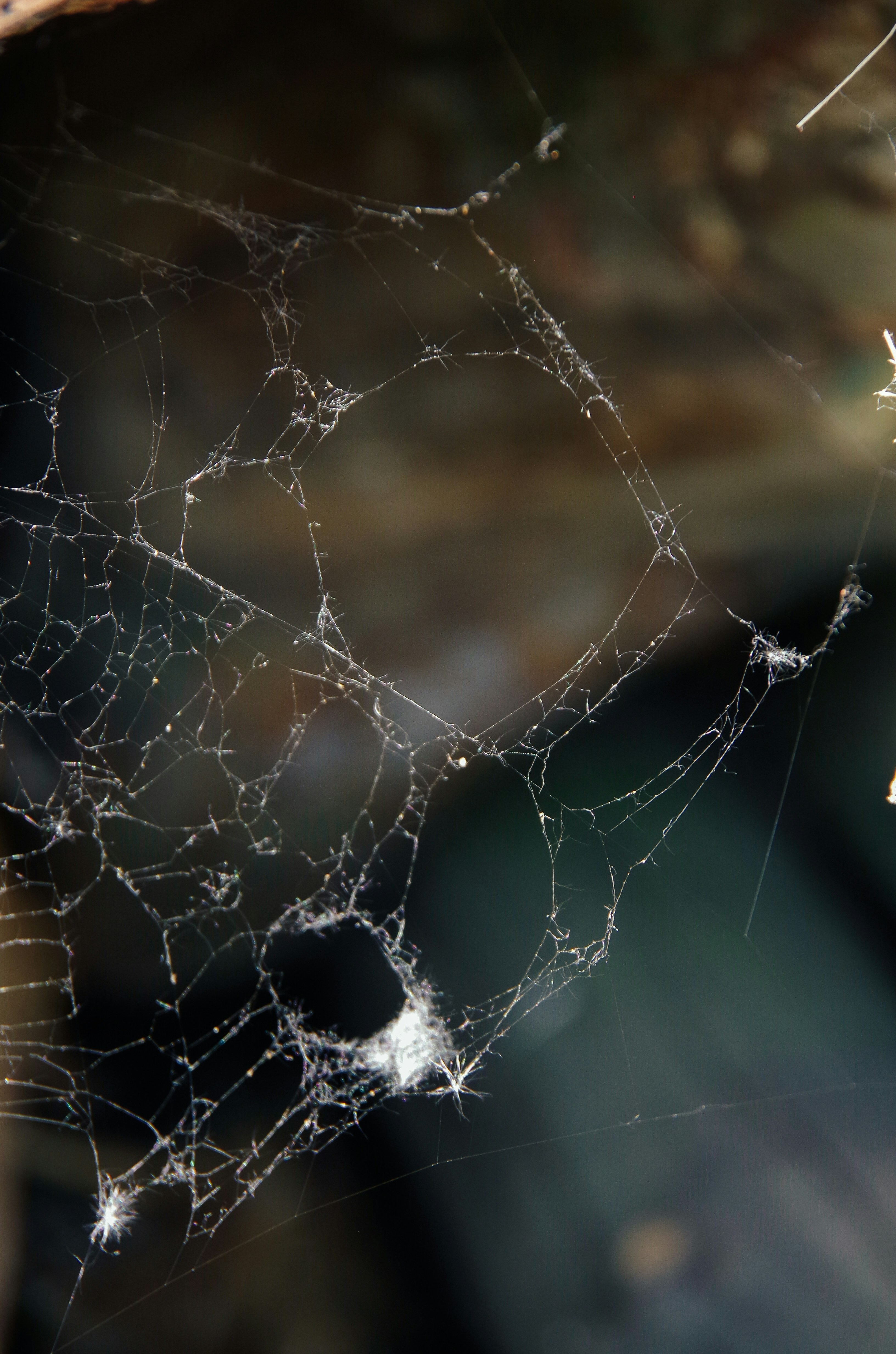 Photo by tatiannavoiset