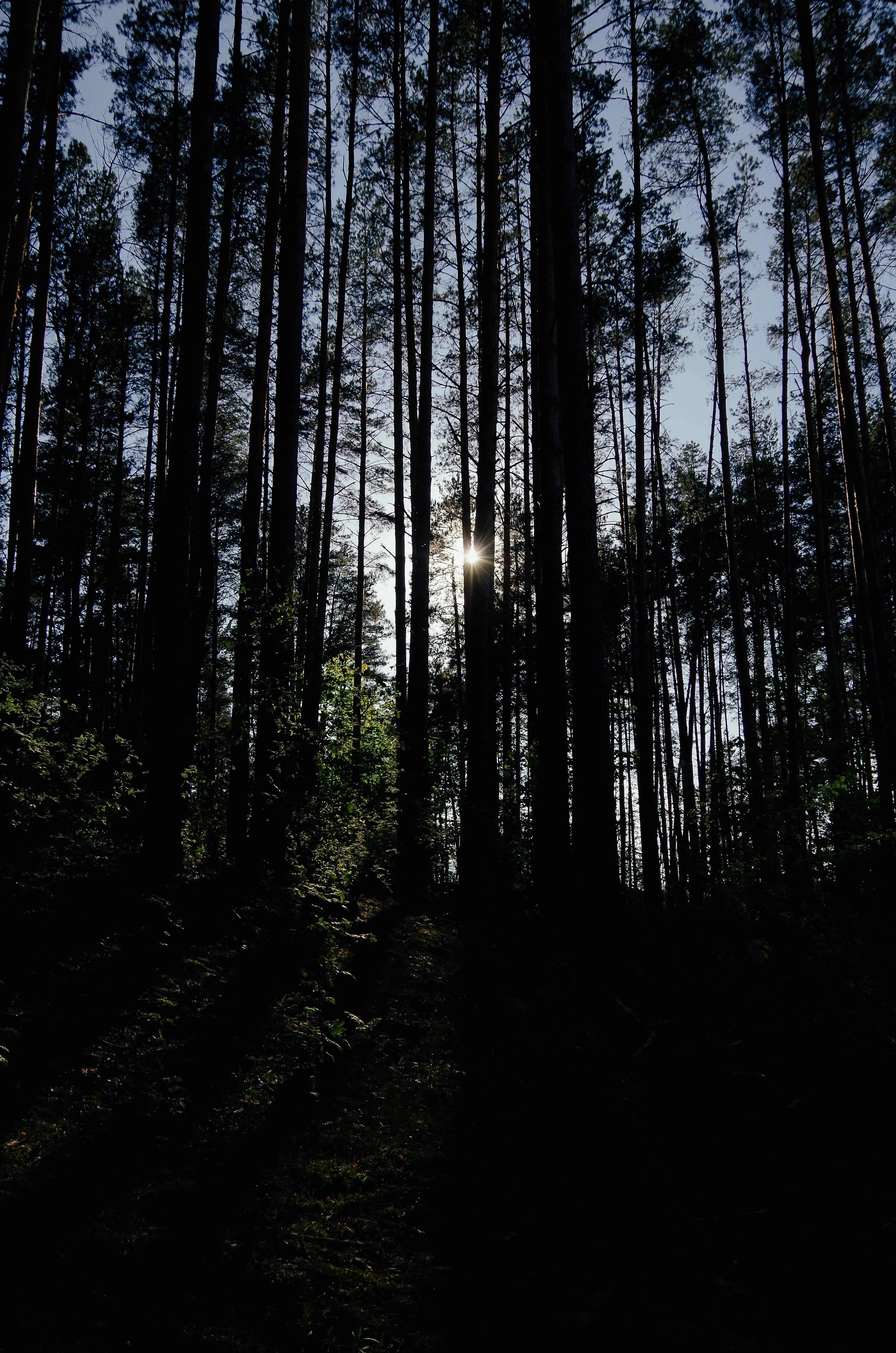 Photo by tatiannavoiset