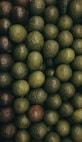 green and purple avocado fruit lot