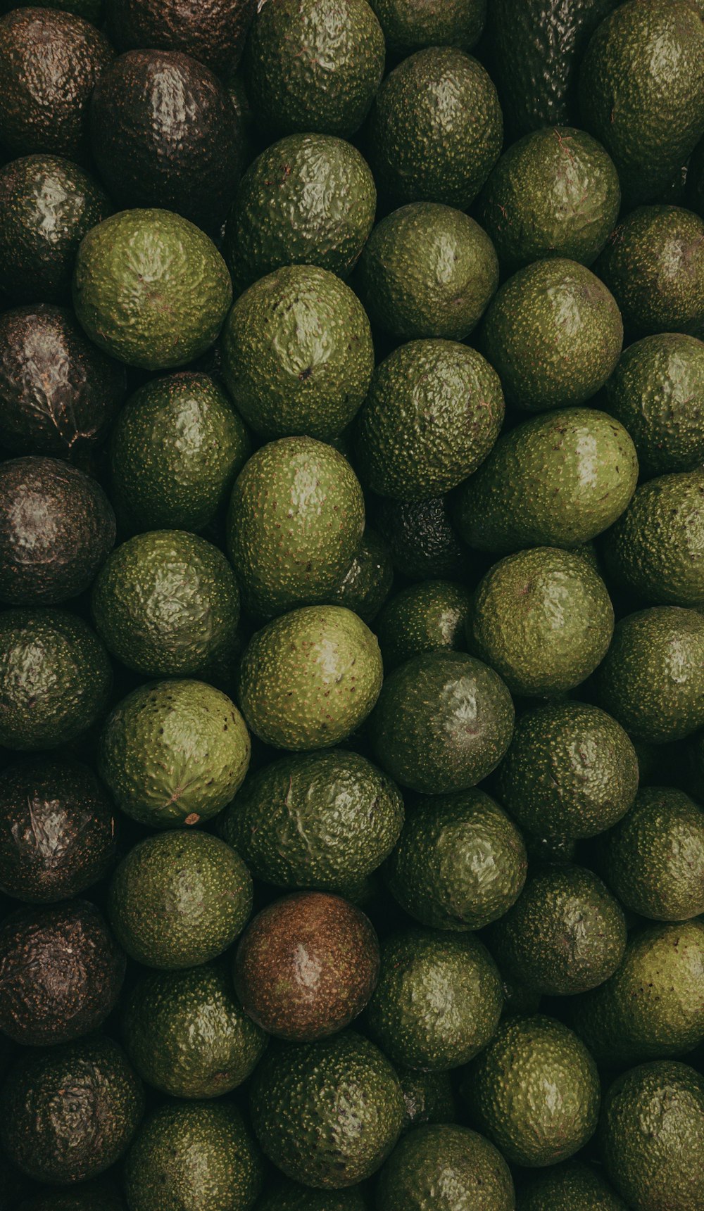 green and purple avocado fruit lot