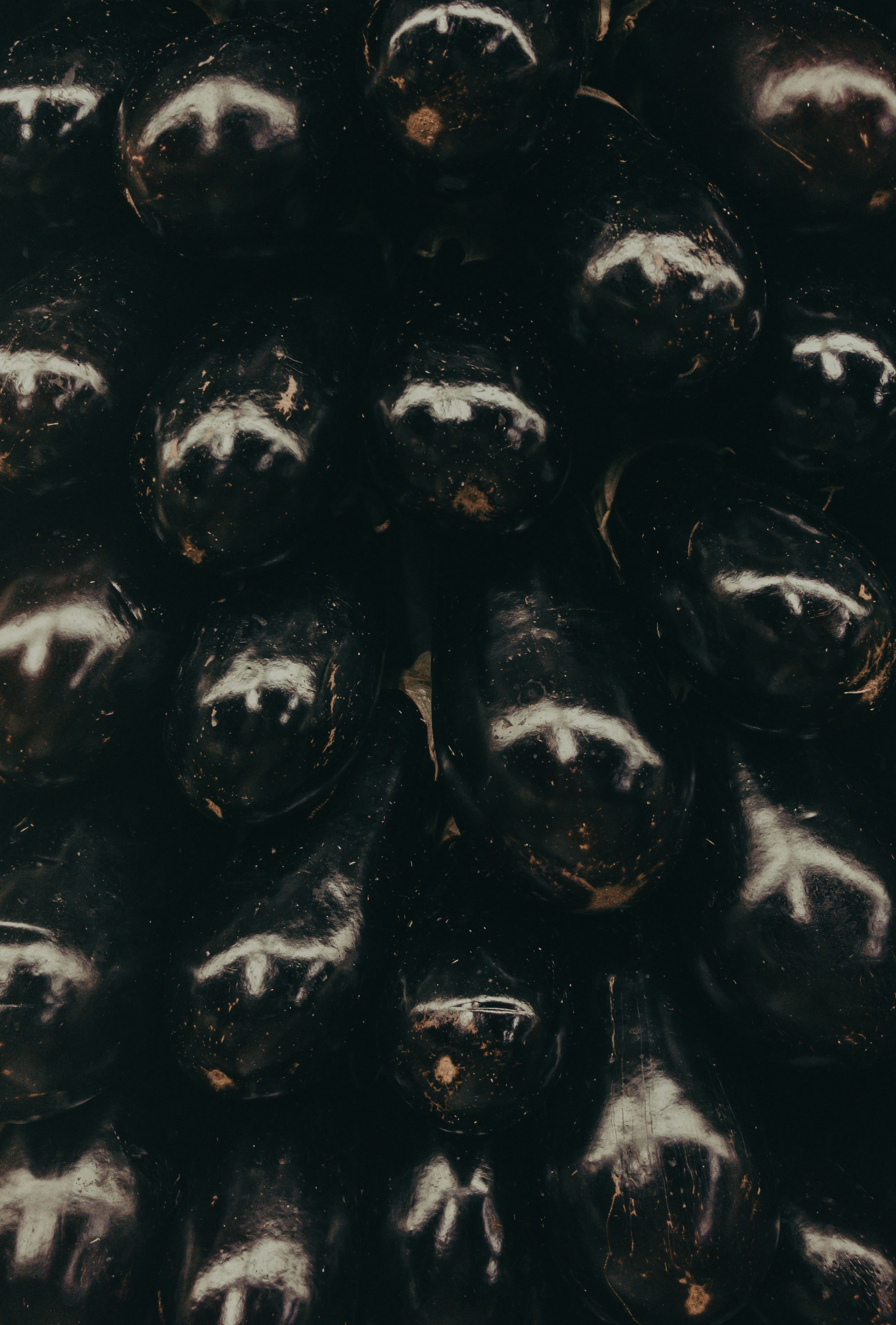 black sapote fruit wallpaper, wallpaper, Black Sapote: Manfaat Luar Biasa dan Tips Aman Mengonsumsinya 3