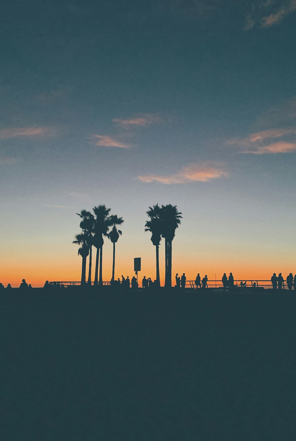 silhouette of people standing beside palm trees