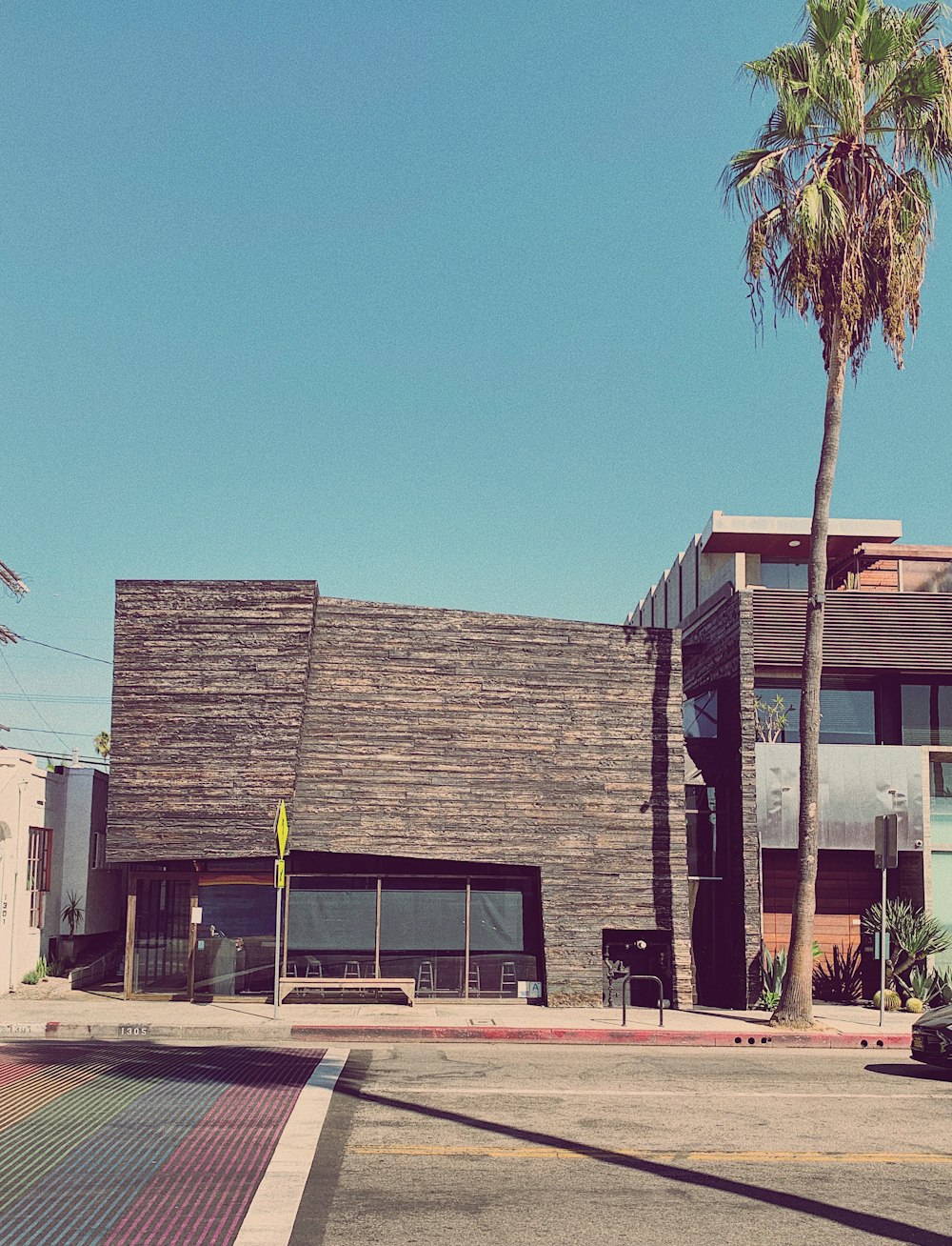 palm tree beside brown structure