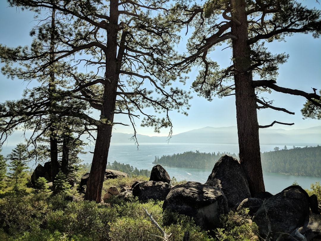 Nature reserve photo spot Lake Tahoe 55 W Lake Blvd