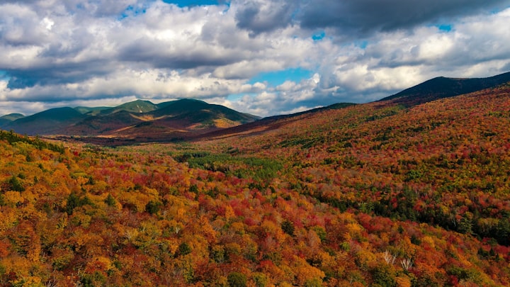 A White Mountains Mystery: The Cabin - Chapter 1