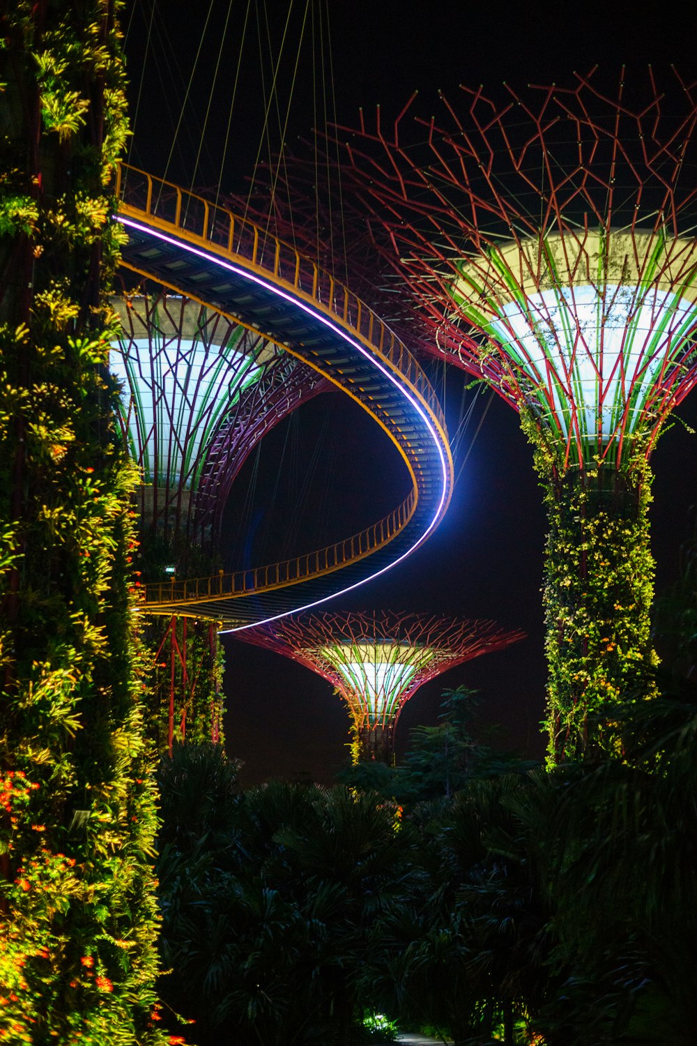 Garden by the Bay at night time