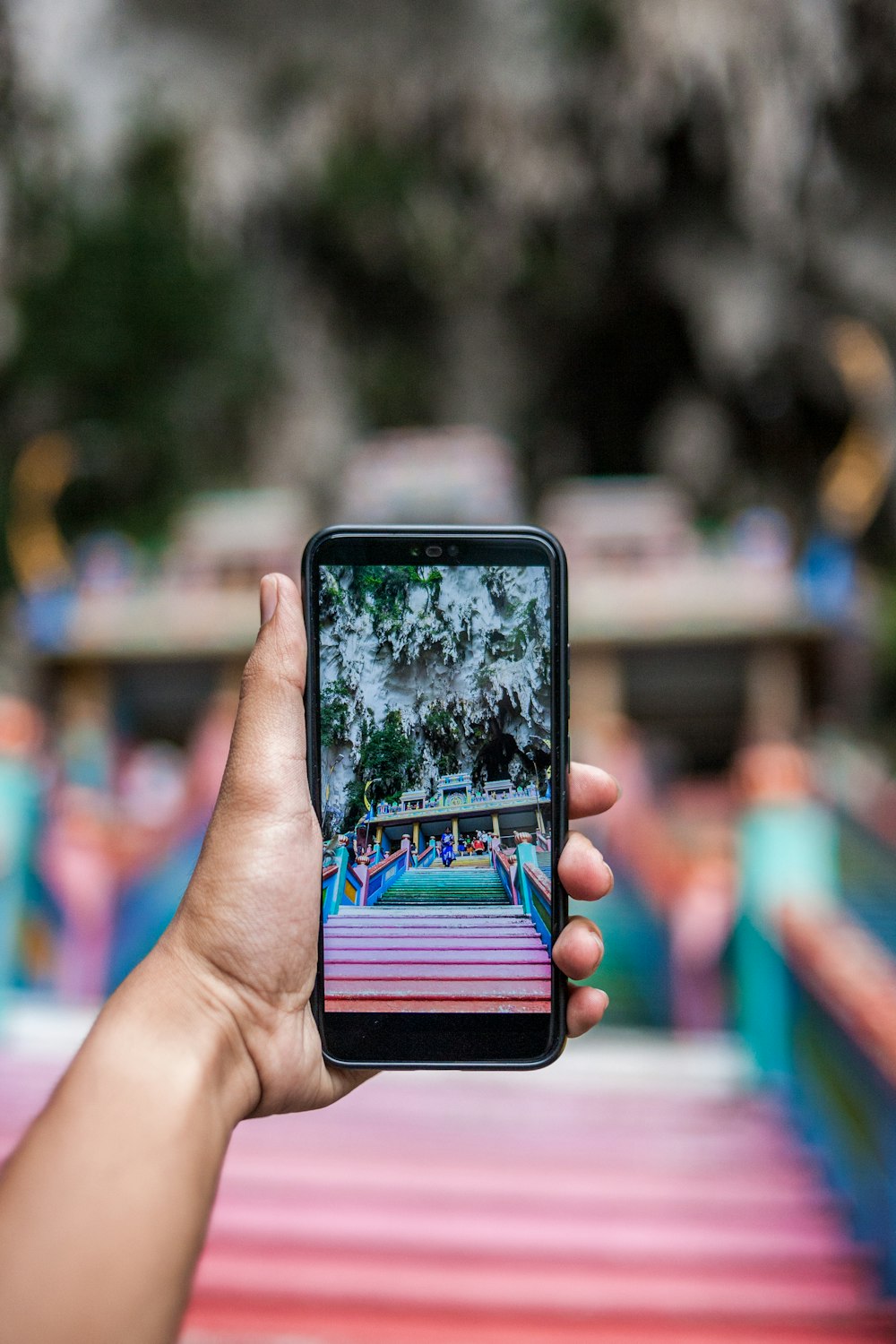 person taking photo of trees near building