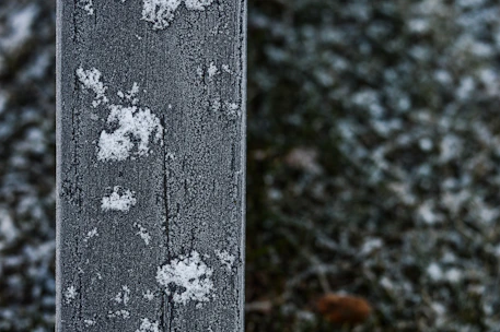 Close-up of textured wood-plastic composite decking with frost on the surface.
