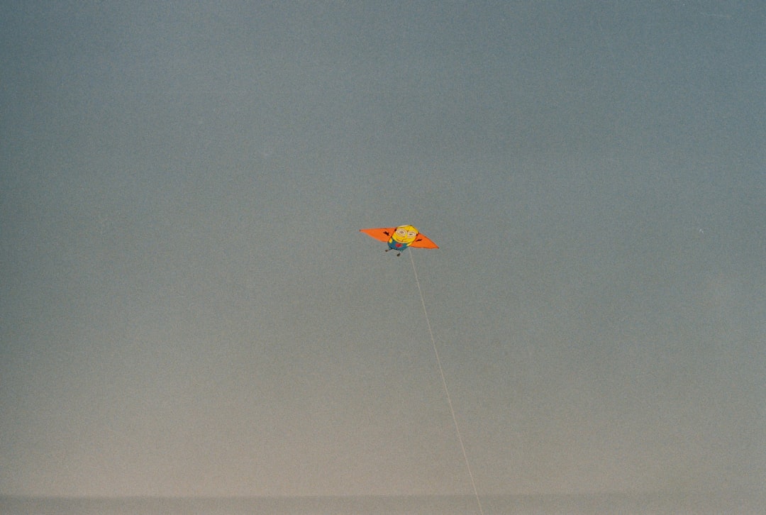 kite at flight