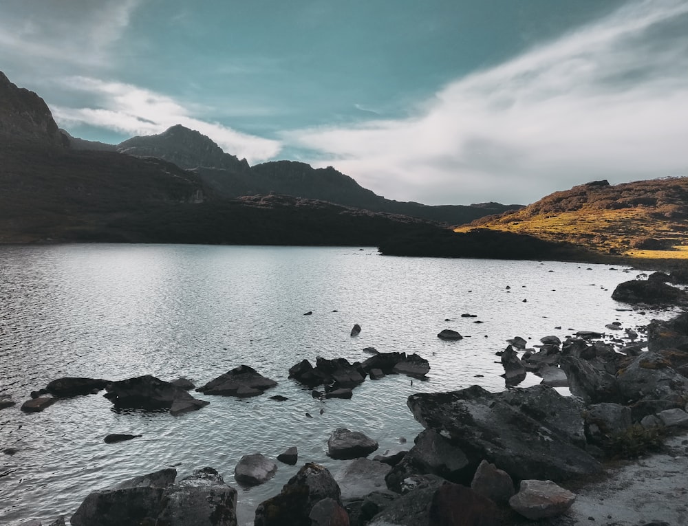 black stones and water