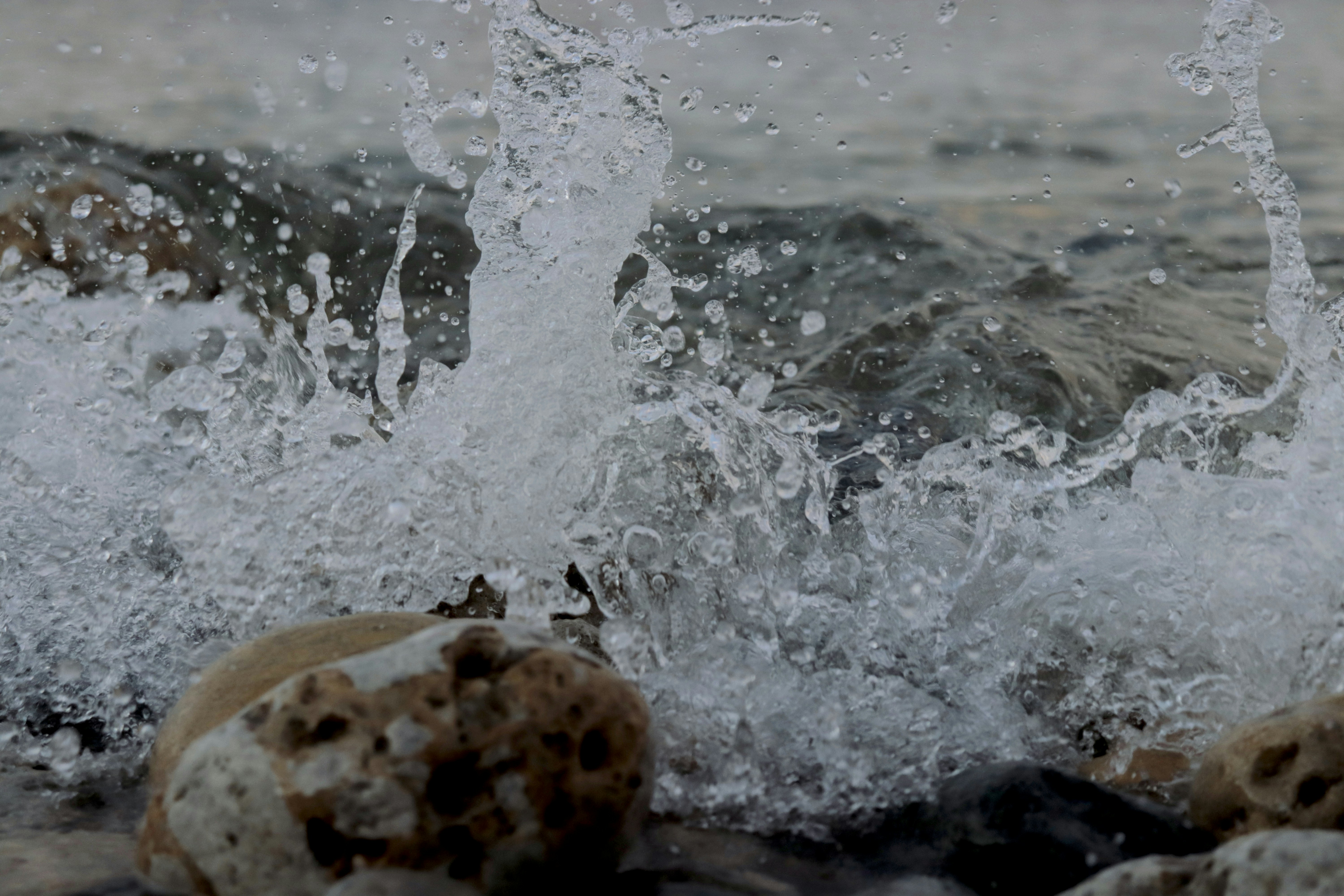 Photo by alex_iacopini