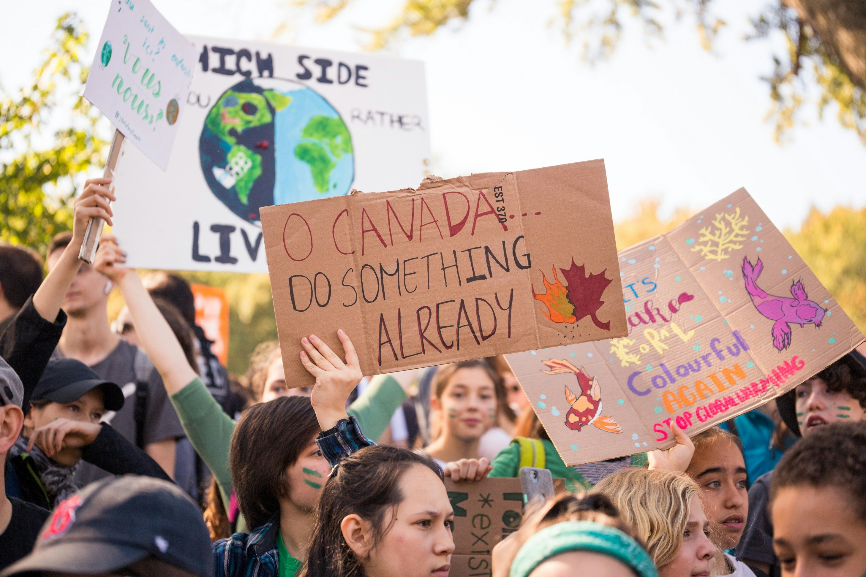 Photo by radu_stanescu