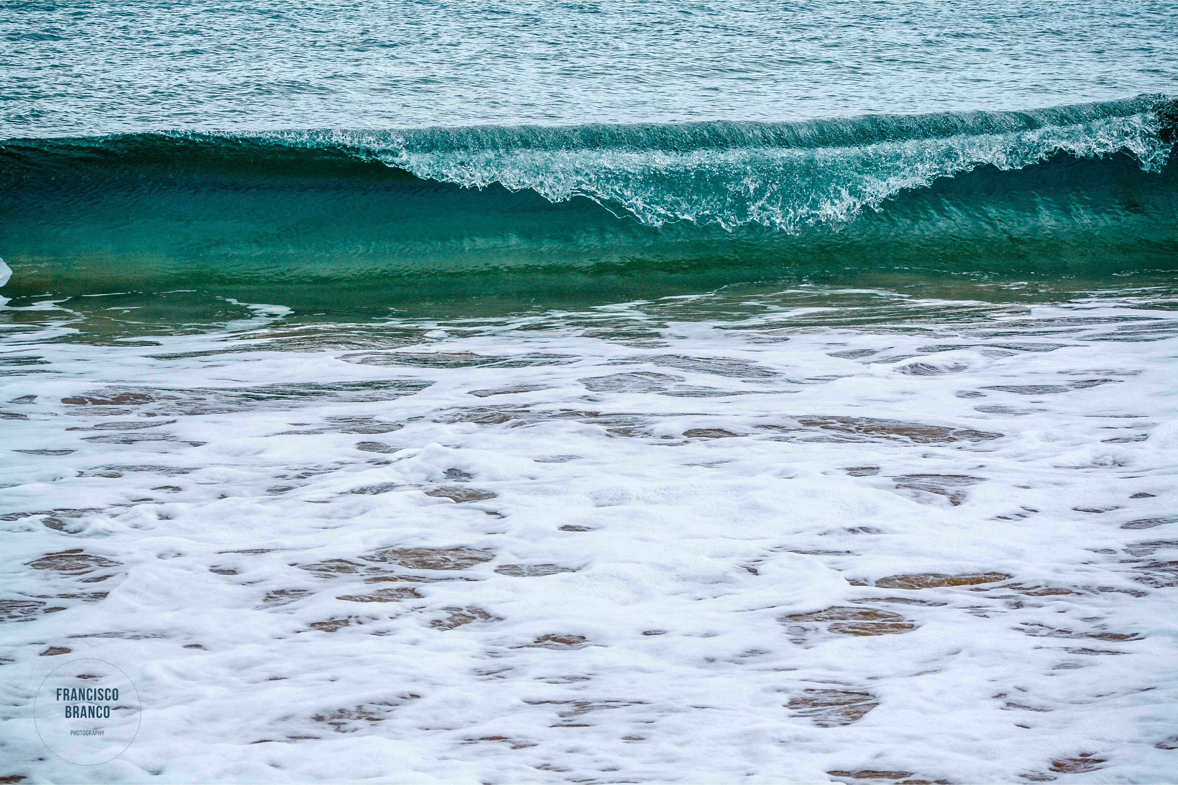 Photo by francisco_branco_photography