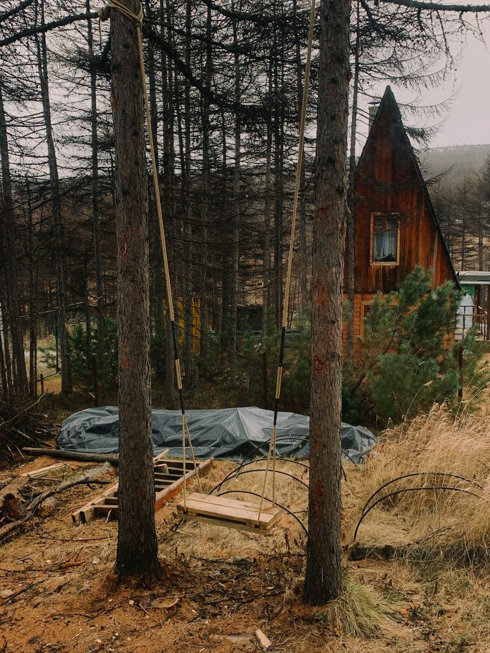 cabin near woods