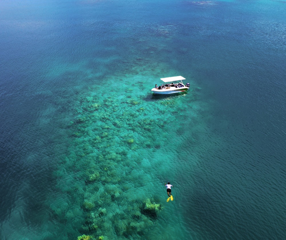 white ship on sea