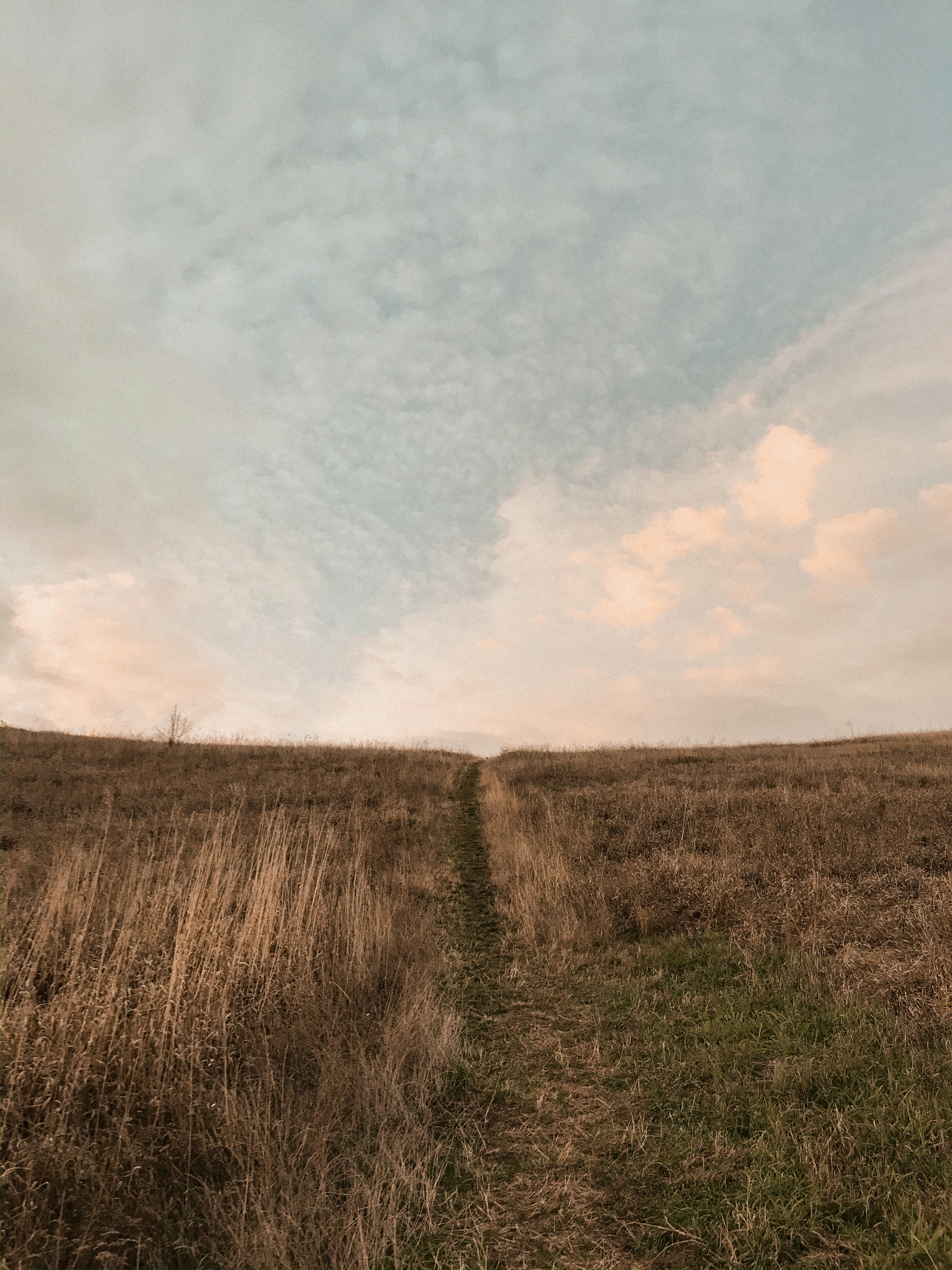 Photo by crinaparasca