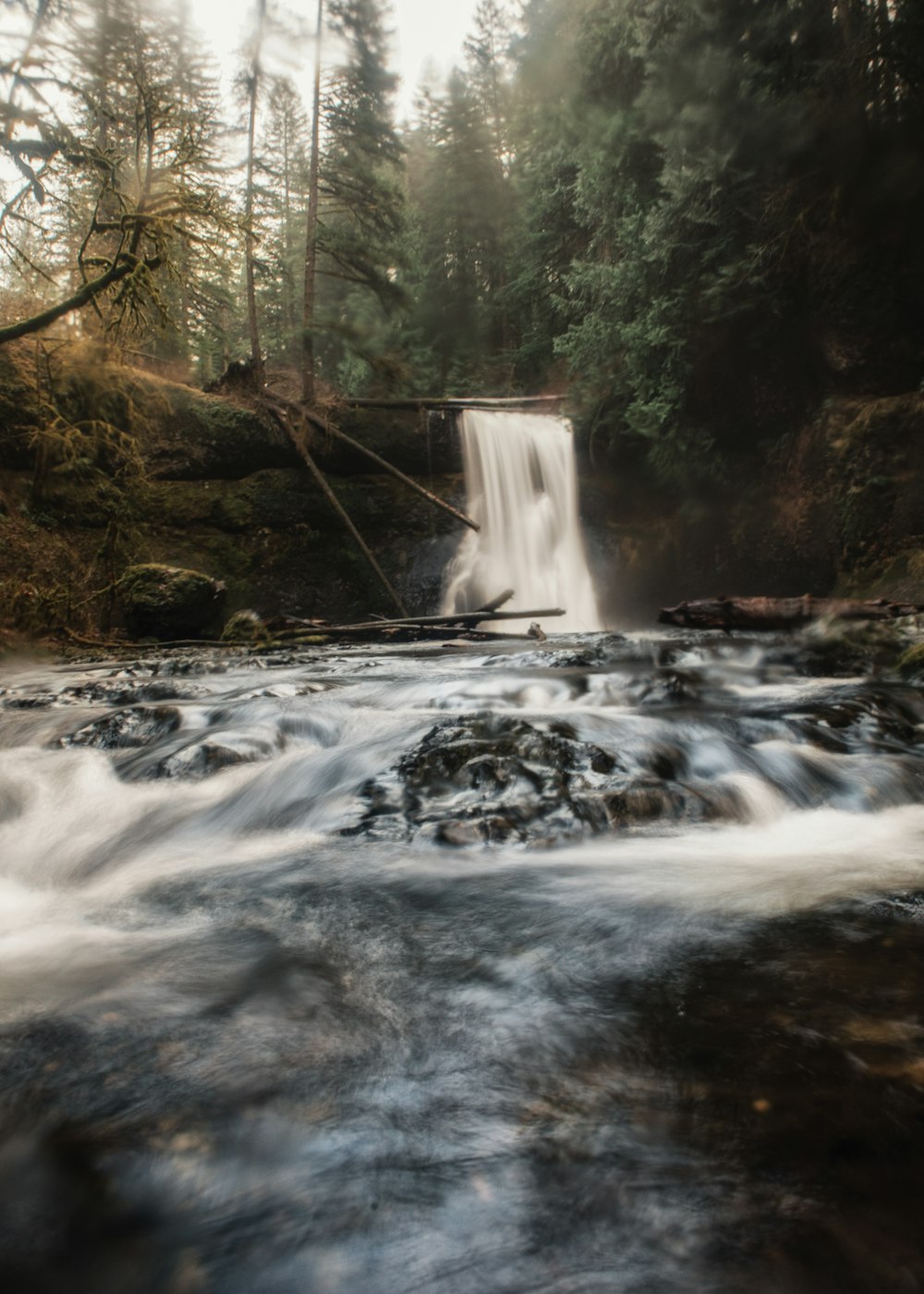 waterfalls with trees on sides