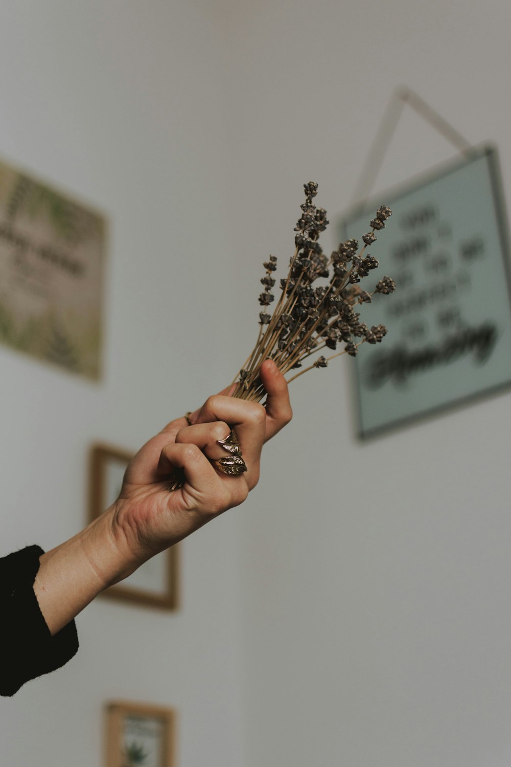 person holding dried flowers