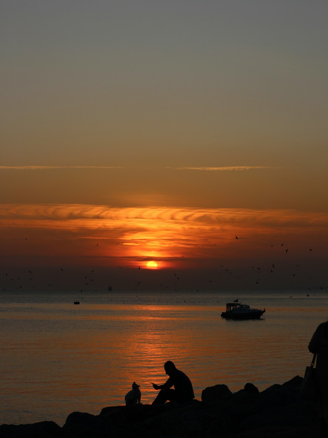 silhouette of boat on body of water