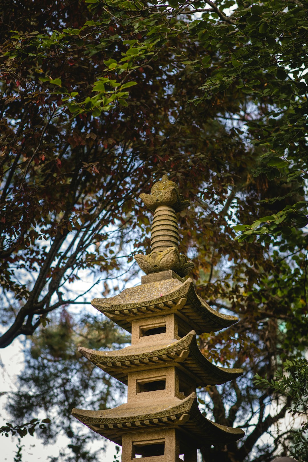 white pagoda under tree