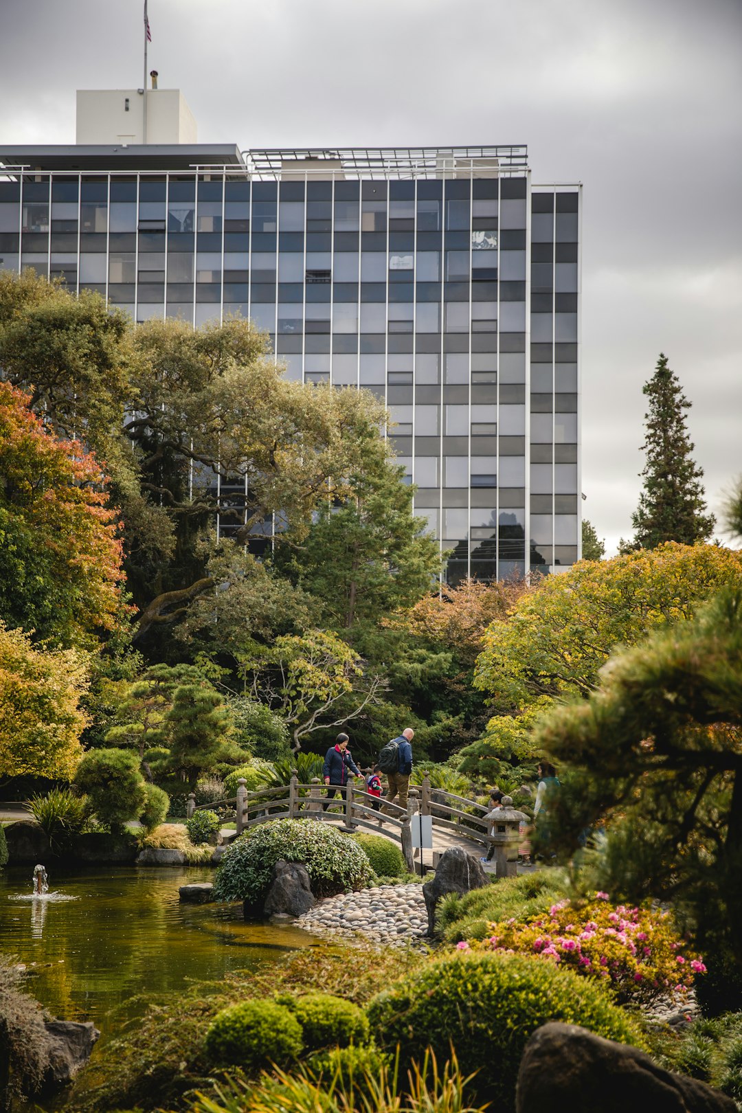 people walking in park