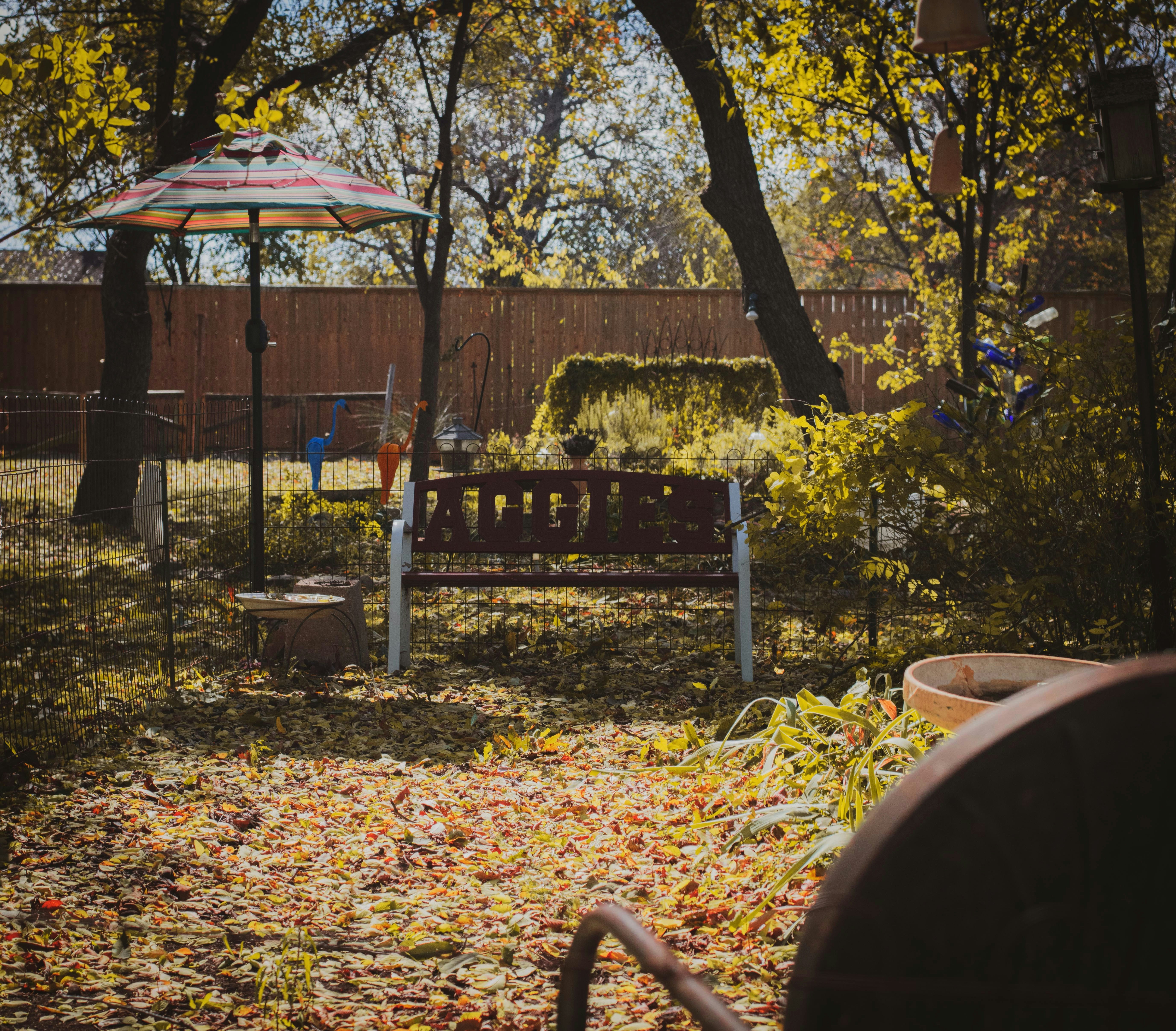 Empty bench under trees among fallen leaves