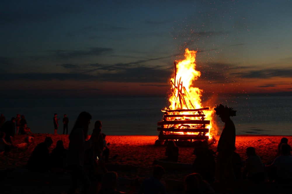 people by bonfire on shore during golden hour