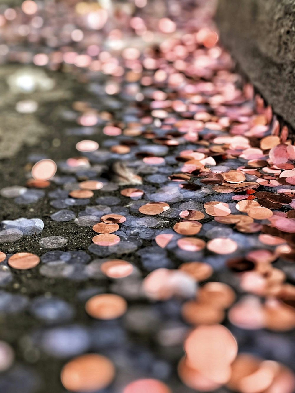 Fotografía con bokeh dorado y gris